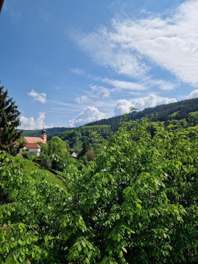 Ferienhaus Heinz Heiligkreuzsteinach Kültér fotó